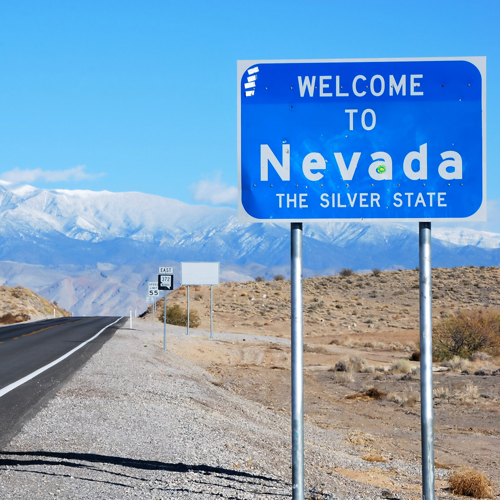 Learn about Nevada's education landscape
