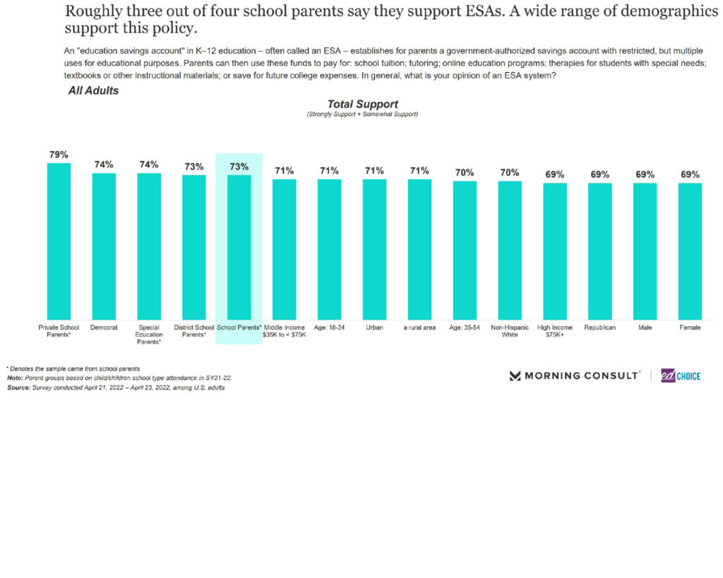 How Dare They Peep into My Private Life?”: Children's Rights Violations by  Governments that Endorsed Online Learning During the Covid-19 Pandemic