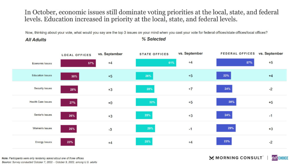 chart showing that economic issues dominate voting priorities.