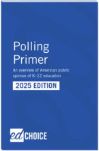 2025 Polling Primer